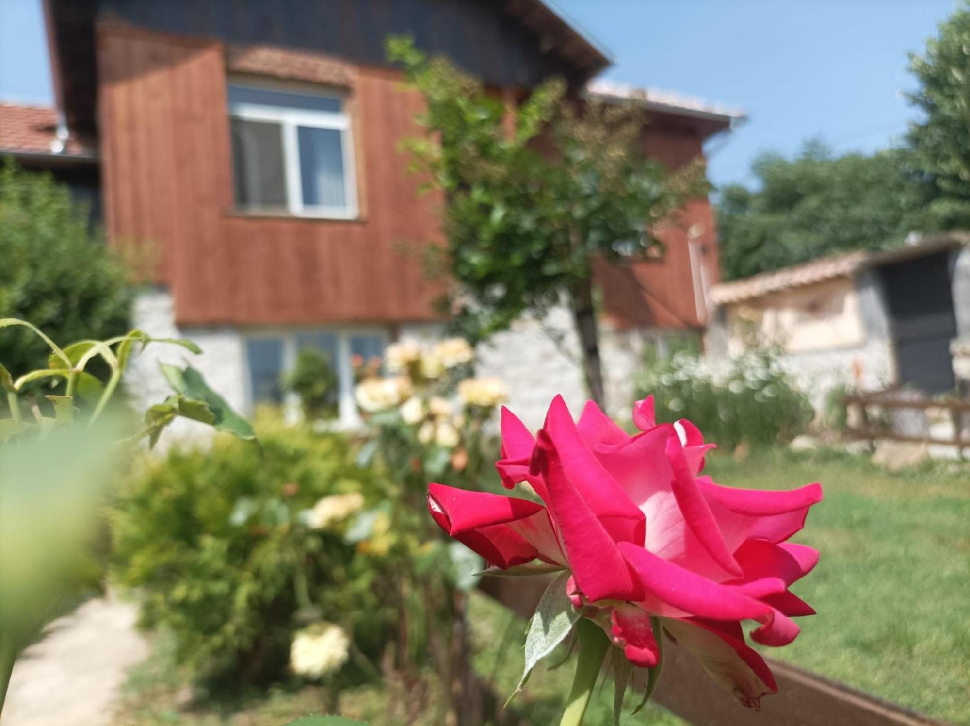 Villa Nina In Kramolin 外观 照片